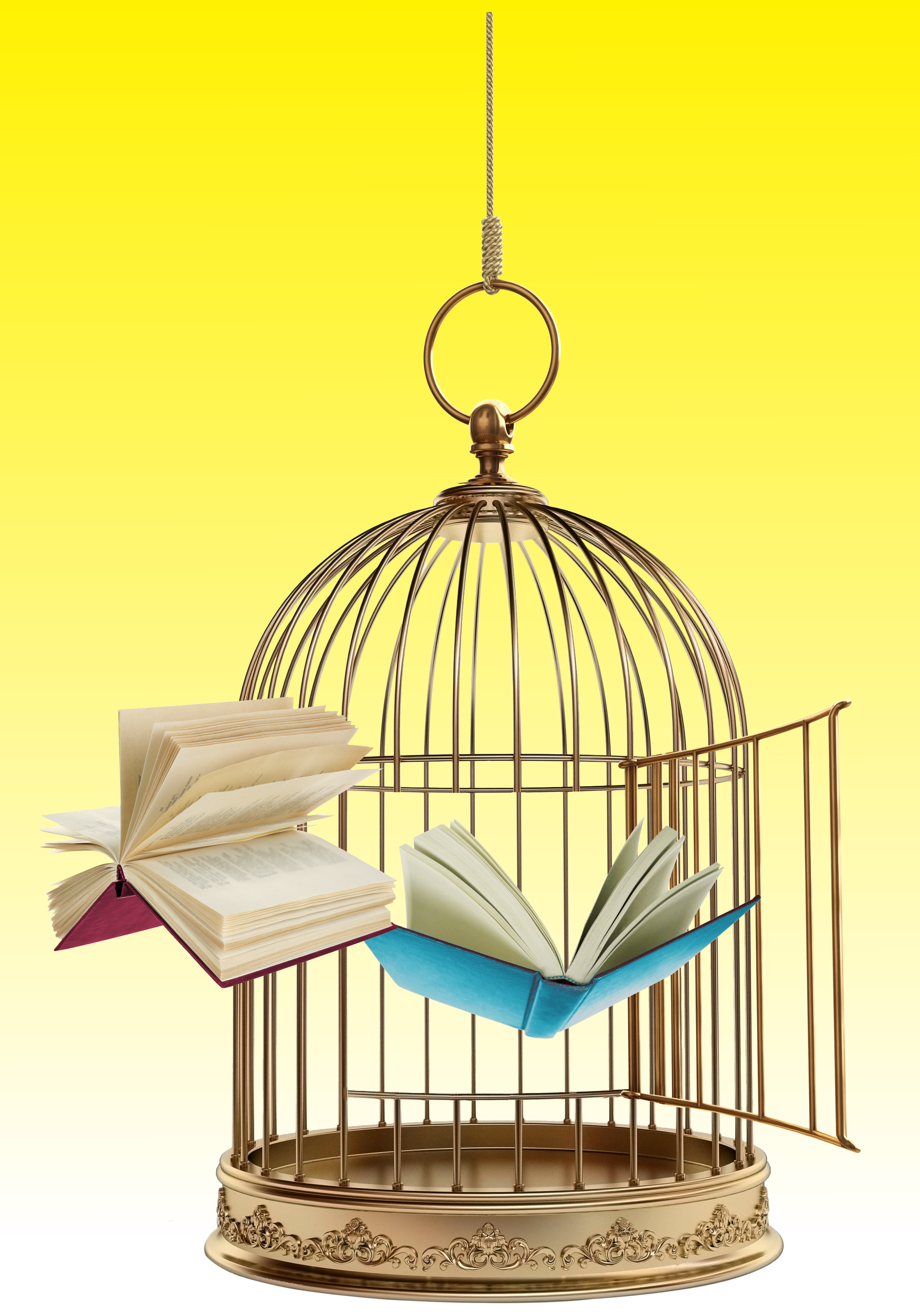 An open birdcage with books flying out of it in front of a soft yellow background.