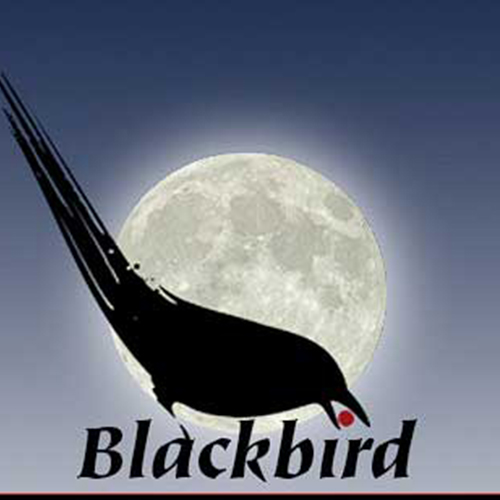 an image of a black bird against the moon with a blue background