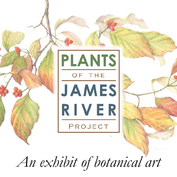 Text reads: Plants of the James River Project: An Exhibit of Botanical Art