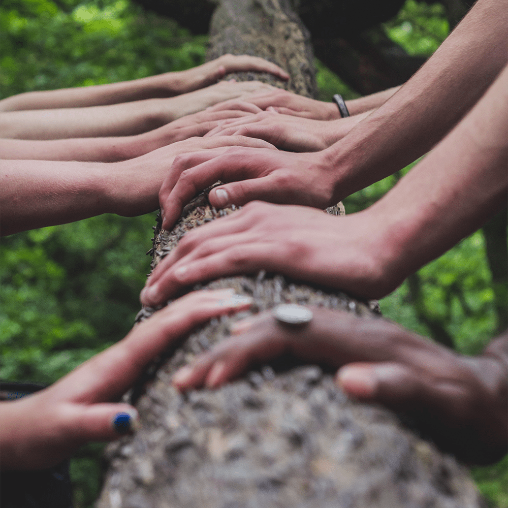 The hands of people of various races and genders resting on a log