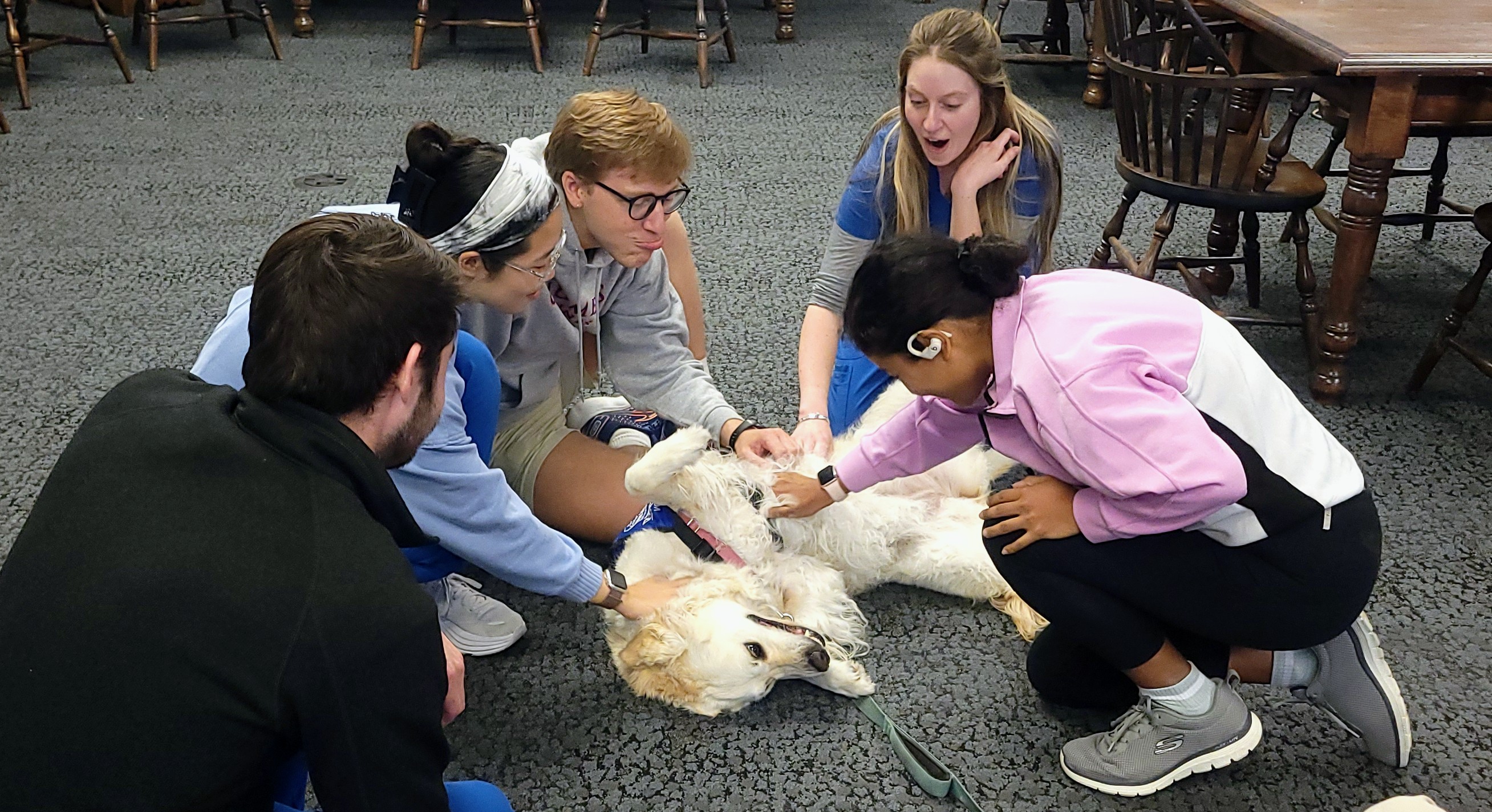 A group of students petting a dog in the library