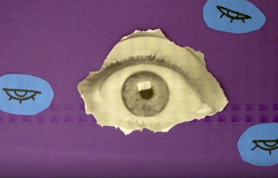 Image of an open eye from the exhibit Double Vision